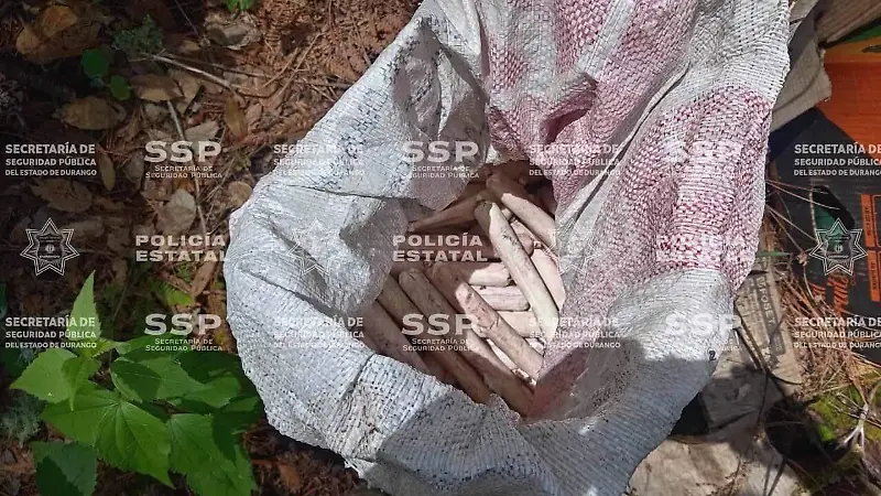 Policía Estatal y Ejército aseguran decenas de explosivos improvisados en Tamazula, Durango